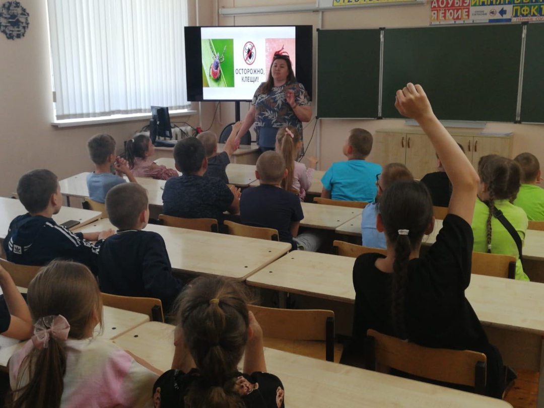Беседа «Осторожно, клещ!».