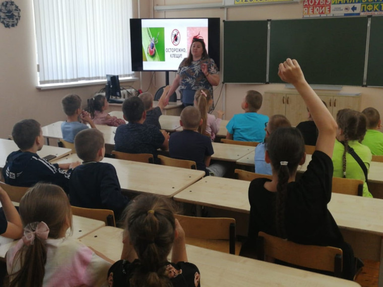 Беседа «Осторожно, клещ!».